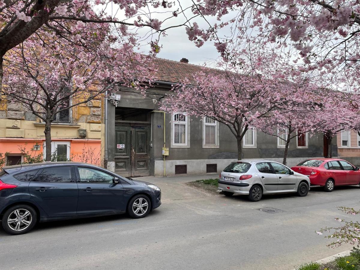 Dulcineea Downtown Garden Studio Timişoara Exterior foto
