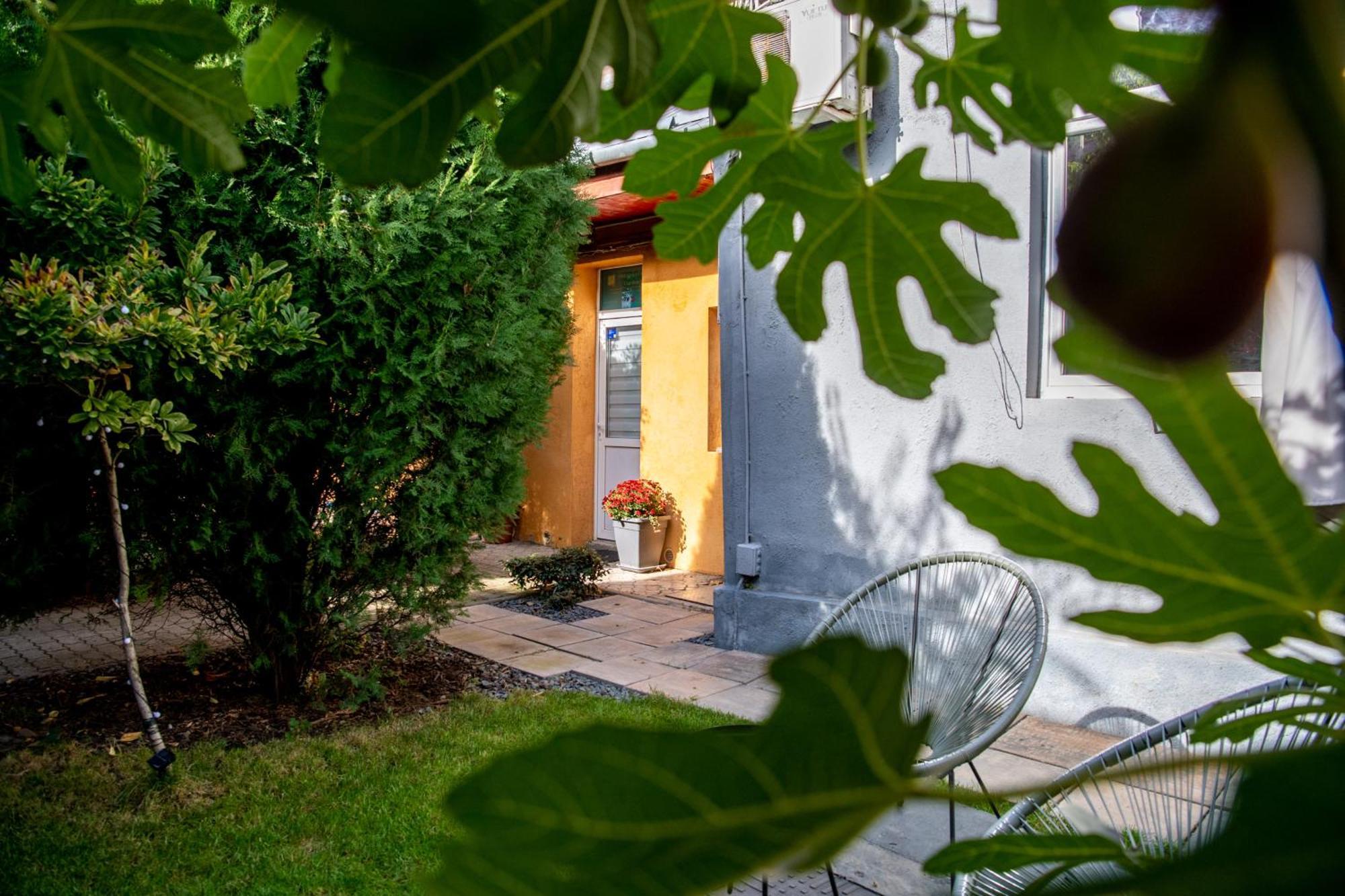 Dulcineea Downtown Garden Studio Timişoara Exterior foto