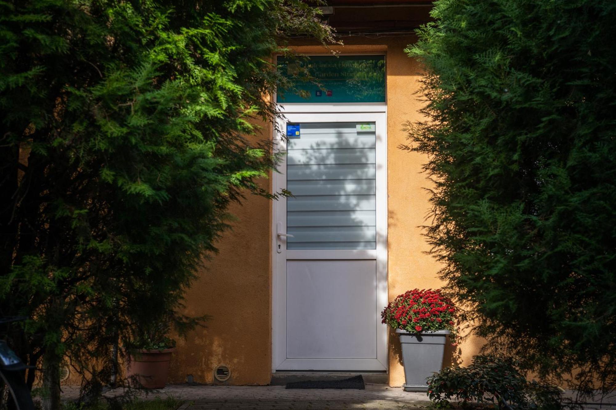 Dulcineea Downtown Garden Studio Timişoara Exterior foto